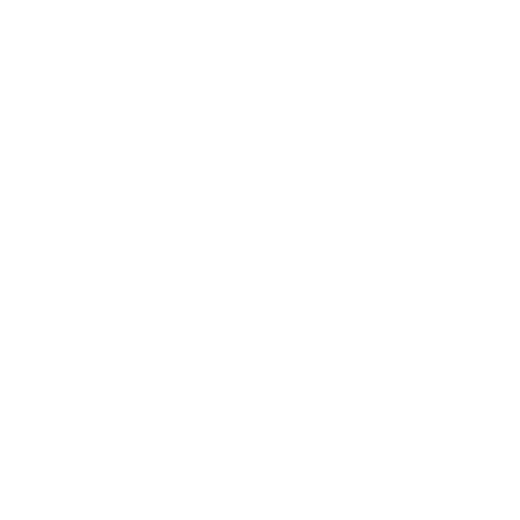 nickyfranquelogowhitenobackground